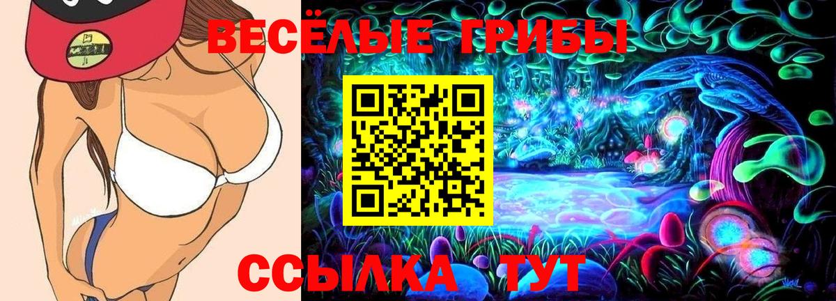 Галлюциногенные грибы Psilocybe  Вход с VPN  Галлюциногенные грибы Magic Shrooms  Мытищи 